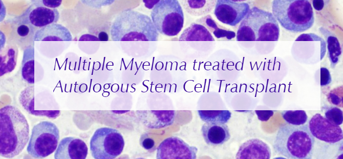 myeloma stem cell transplant